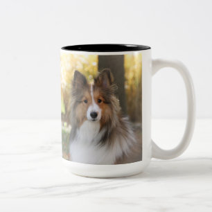 Taza Bicolor Café Mug - Sheltie