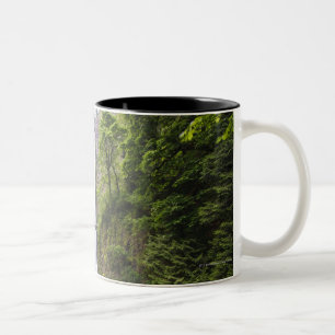 Taza Bicolor Caídas de Latourell y garganta del río Columbia