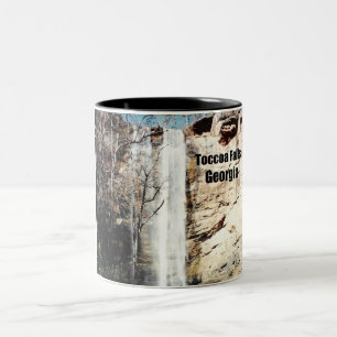 Taza Bicolor Caídas de Toccoa, Georgia