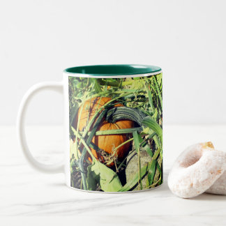 Taza Bicolor Calabaza En La Naturaleza De La Caída Del Vino