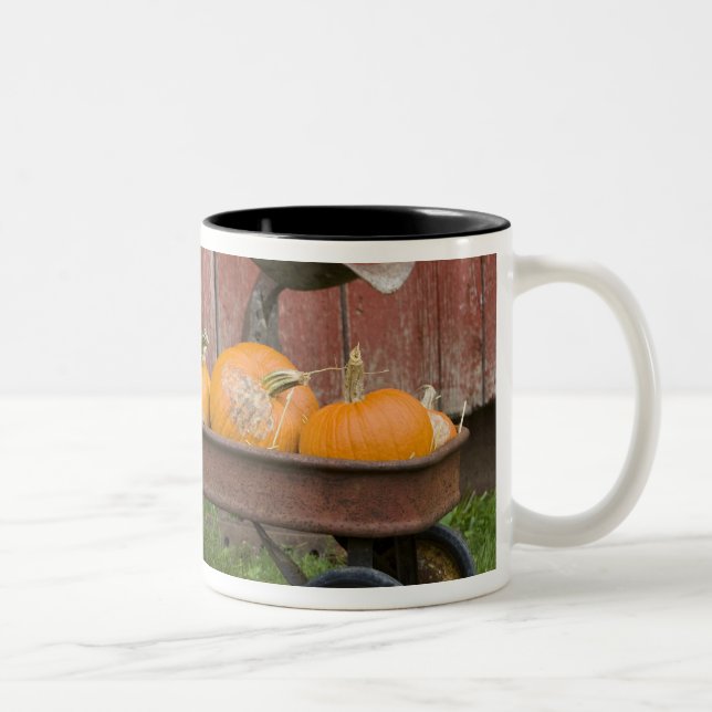 Taza Bicolor Calabazas en vagón viejo (Derecha)