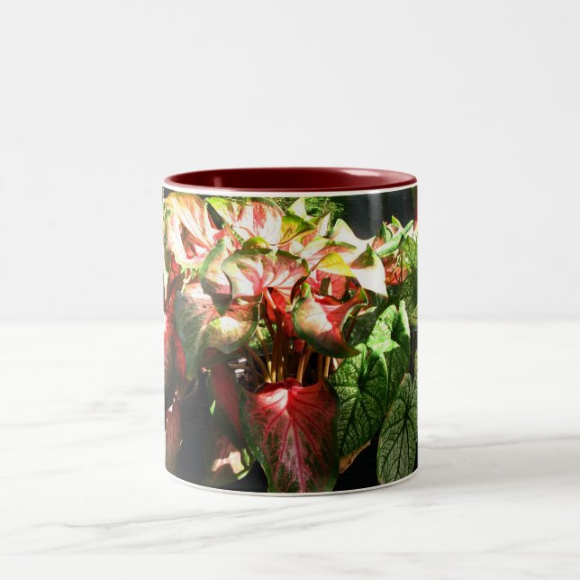 TAZA BICOLOR CALADIUM (Centro)
