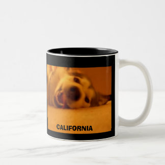 TAZA BICOLOR CALIFORNIA