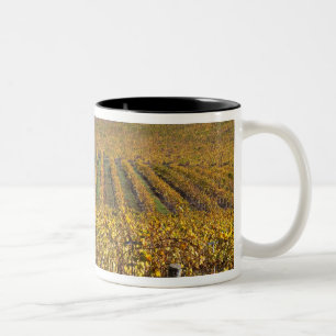 Taza Bicolor California, Condado de San Luis Obispo, Valle de E