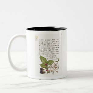 Taza Bicolor Caligrafía de Blackberry y Nottingham Catchfly