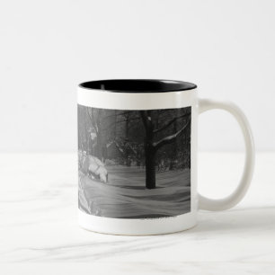 Taza Bicolor Calle residencial Nevado