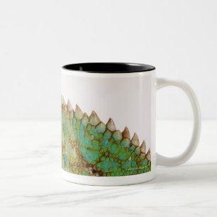 Taza Bicolor Cambio de piel del camaleón