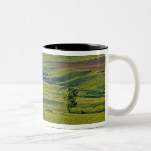Taza Bicolor camino de grava de Comertown en el remoto noreste