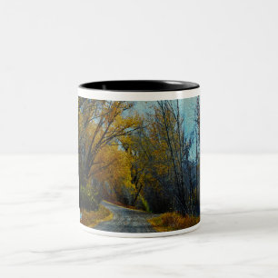 Taza Bicolor Camino de la montaña rocosa