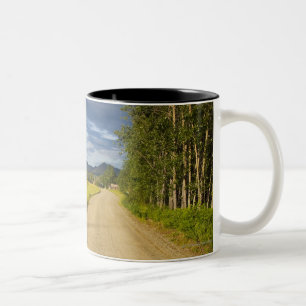 Taza Bicolor Camino de tierra en Eagle, Alaska