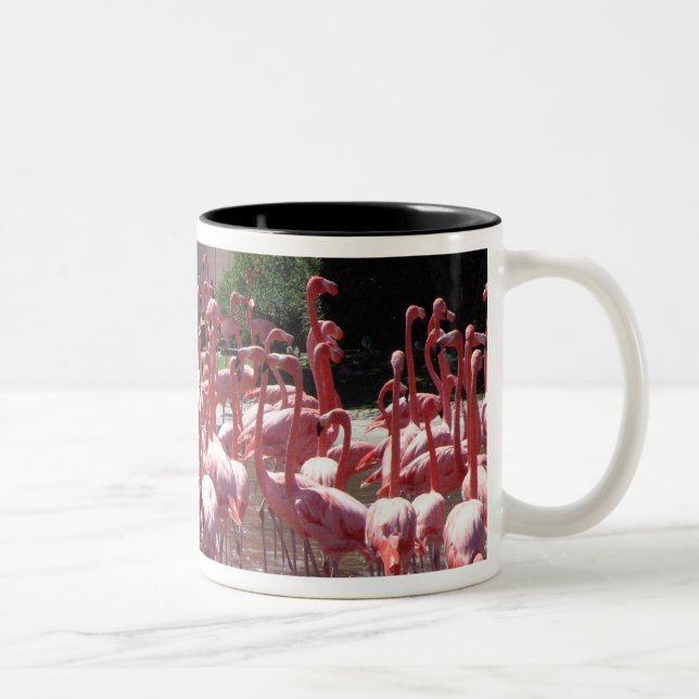 Taza Bicolor Camino del flamenco (Derecha)