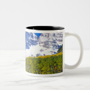 Taza Bicolor Campanas Marrón con bosque de álamos en otoño.