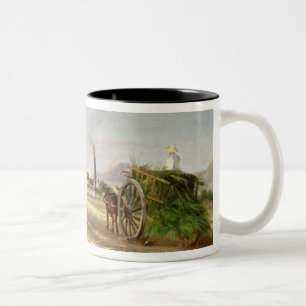 Taza Bicolor Campesinos que recogen la caña de azúcar
