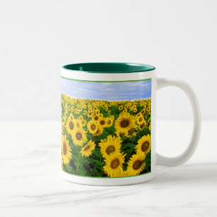 Taza Bicolor Campo de girasol