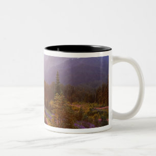 Taza Bicolor Campo de lupino y montañas Olímpicas en
