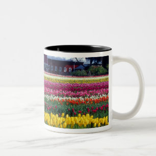 Taza Bicolor Campo de visualización Tulip