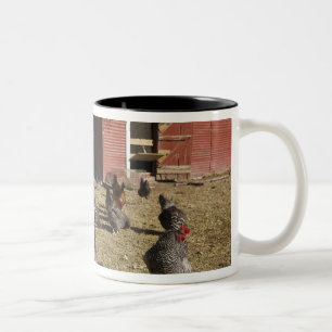 Taza Bicolor Campos de trabajo de pollos cerca de la gallina Cl
