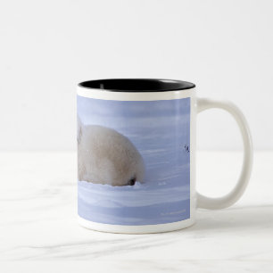 Taza Bicolor Canadá