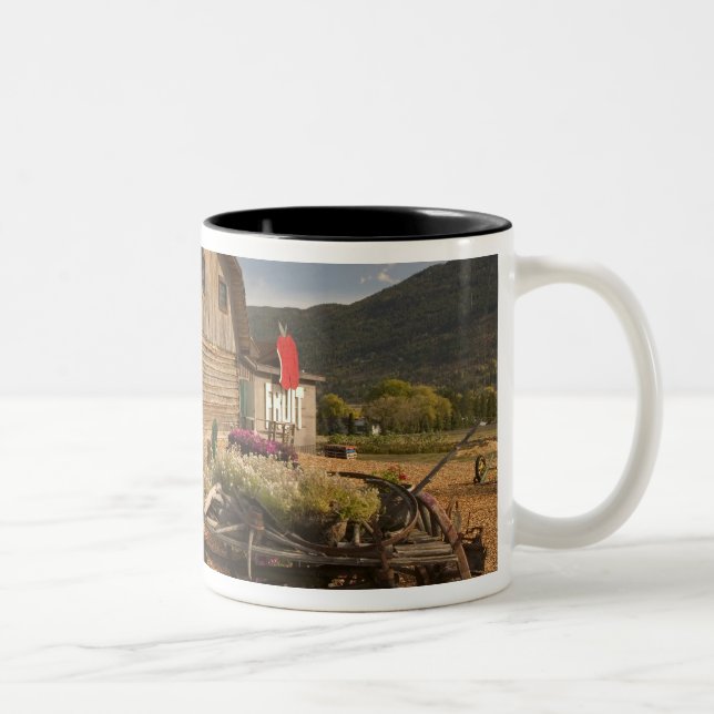 Taza Bicolor CANADÁ, Columbia Británica, Enderby. Registro de b (Derecha)