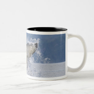 Taza Bicolor Canadá, Columbia Británica, isla de Vancouver,