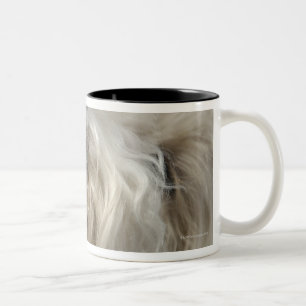 Taza Bicolor Canadá, Columbia Británica, Vancouver