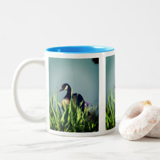 Taza Bicolor Canada Goose Irises 1 Nature Art