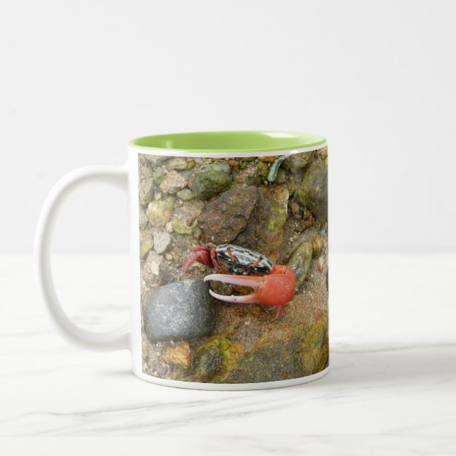 Taza Bicolor Cangrejo de Beach Fiddler (Izquierda)