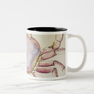 Taza Bicolor Cangrejo de tierra