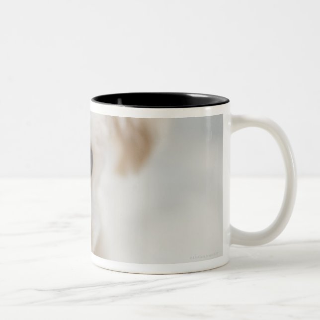 Taza Bicolor caniche de juguete (Derecha)