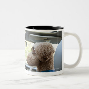 Taza Bicolor caniche estándar