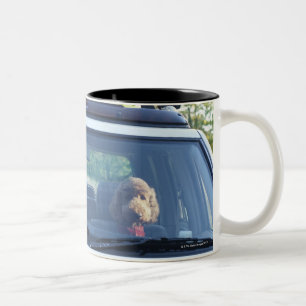 Taza Bicolor caniche estándar 4