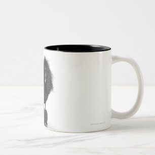 Taza Bicolor Caniche negro arreglado