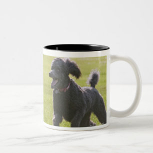 Taza Bicolor Caniche que juega el disco volador