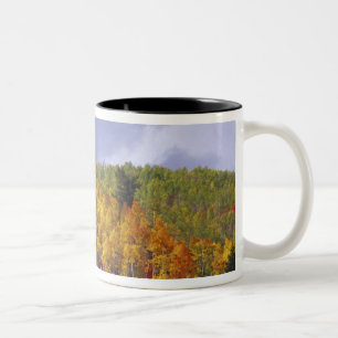 Taza Bicolor Cañón de Logan en Utah en otoño con tormenta pasaj