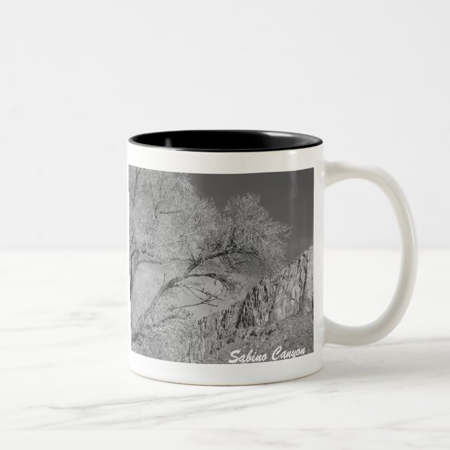 Taza Bicolor Cañón Sabino Acrópolis Ridge B/W Mug (Derecha)