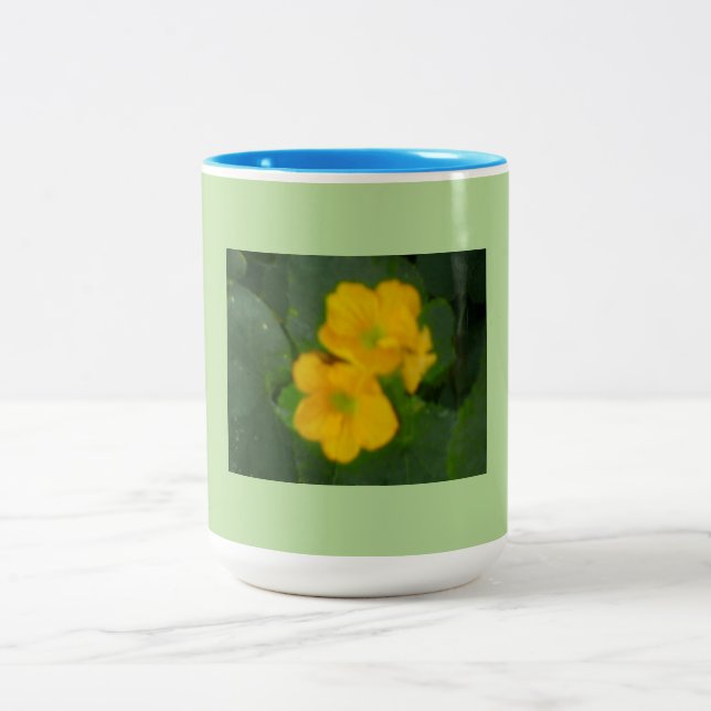 Taza Bicolor Cantaloupe Blooms (Centro)