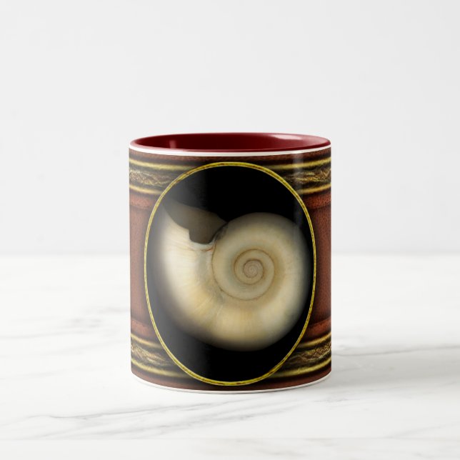 Taza Bicolor Cápiz - Conquiliología - Nautilus (Centro)