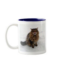 Capturando un copo de nieve