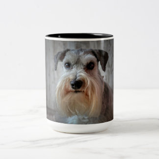 Taza Bicolor Cara de perro Schnauzer
