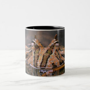 Taza Bicolor Cara de Rana
