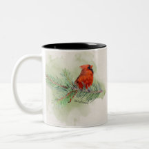 Cardenal rojo dulce de color de agua ruso