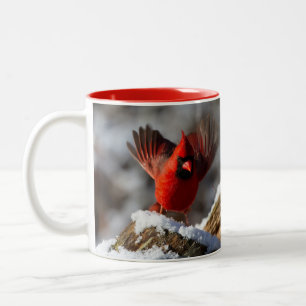Taza Bicolor Cardenal rojo en la nieve