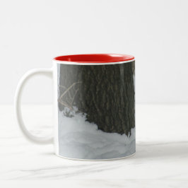 Taza Bicolor Cardenal Snowy