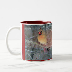 Taza Bicolor Cardenales