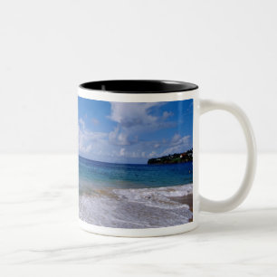 Taza Bicolor Caribe, Antillas Menores, Indias Occidentales, 4