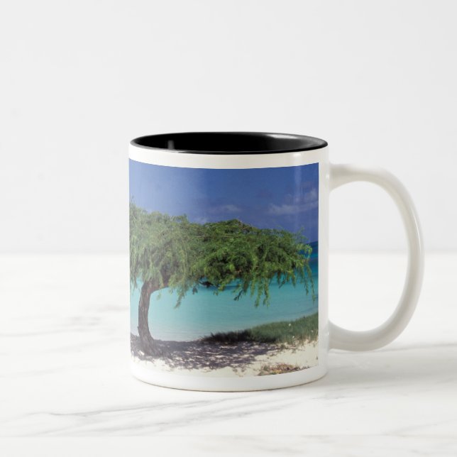 Taza Bicolor Caribe, Aruba. Playa Eagle (Derecha)