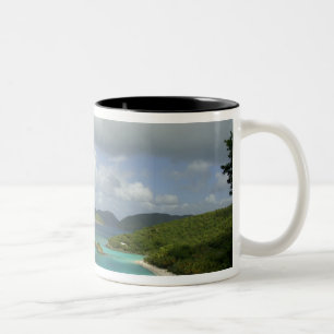 Taza Bicolor Caribe, Islas Vírgenes de Estados Unidos, St. John