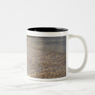 Taza Bicolor Caribe, San Martín (San Maarten). Bahía de Maho