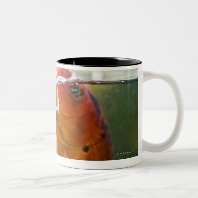 Taza Bicolor Carpas de Koi (Derecha)