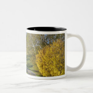 Taza Bicolor Carretera rural a través de la región Bluegrass de
